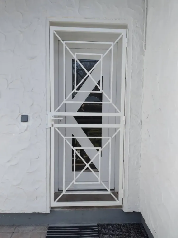 Réalisation et pose de grille de défense acier (1 (3webp